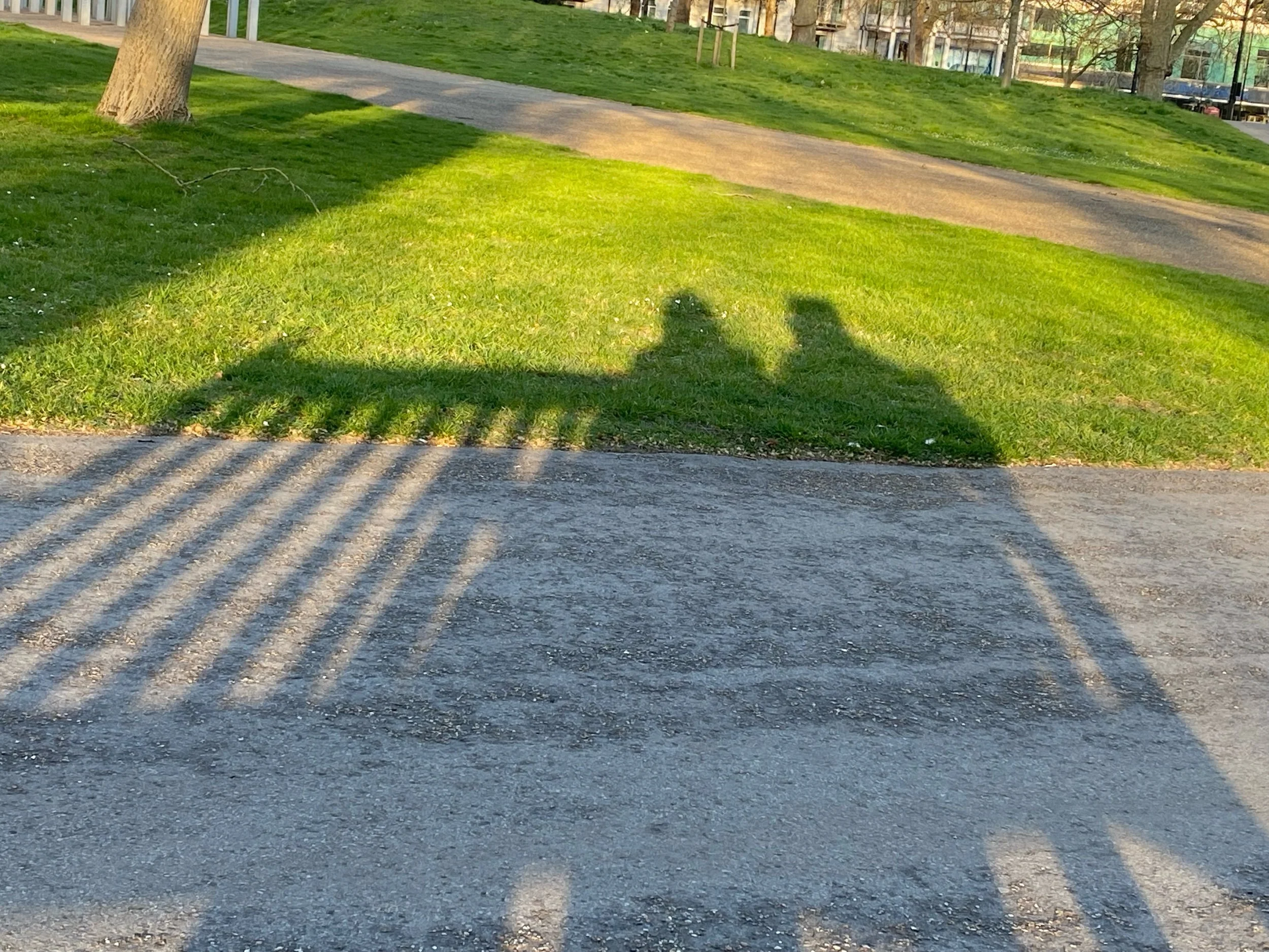 IMG_0822.jpeg