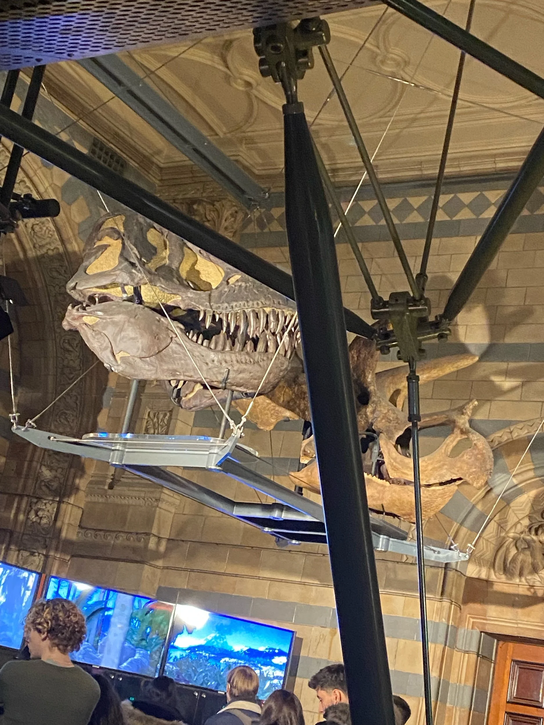IMG_0805.jpeg