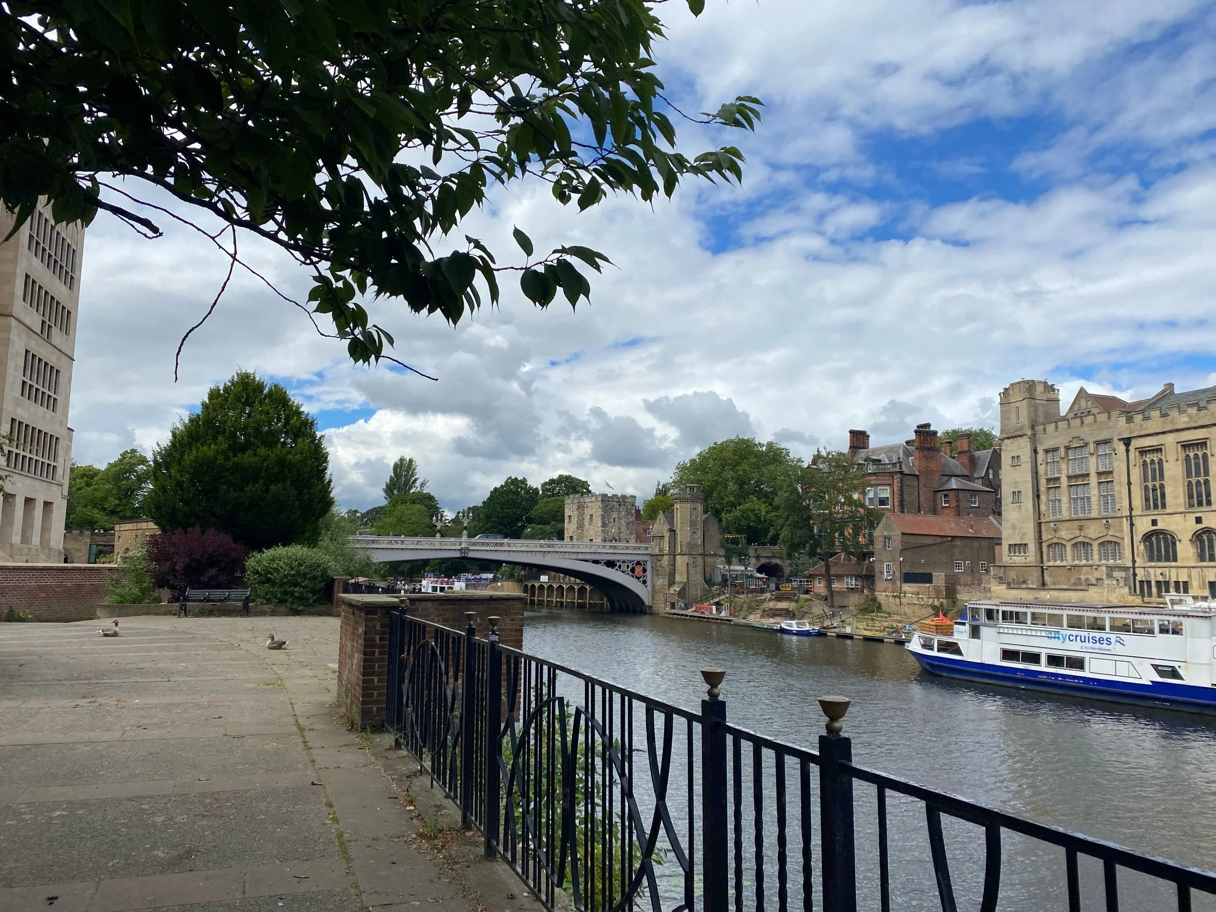 IMG_1823.jpeg