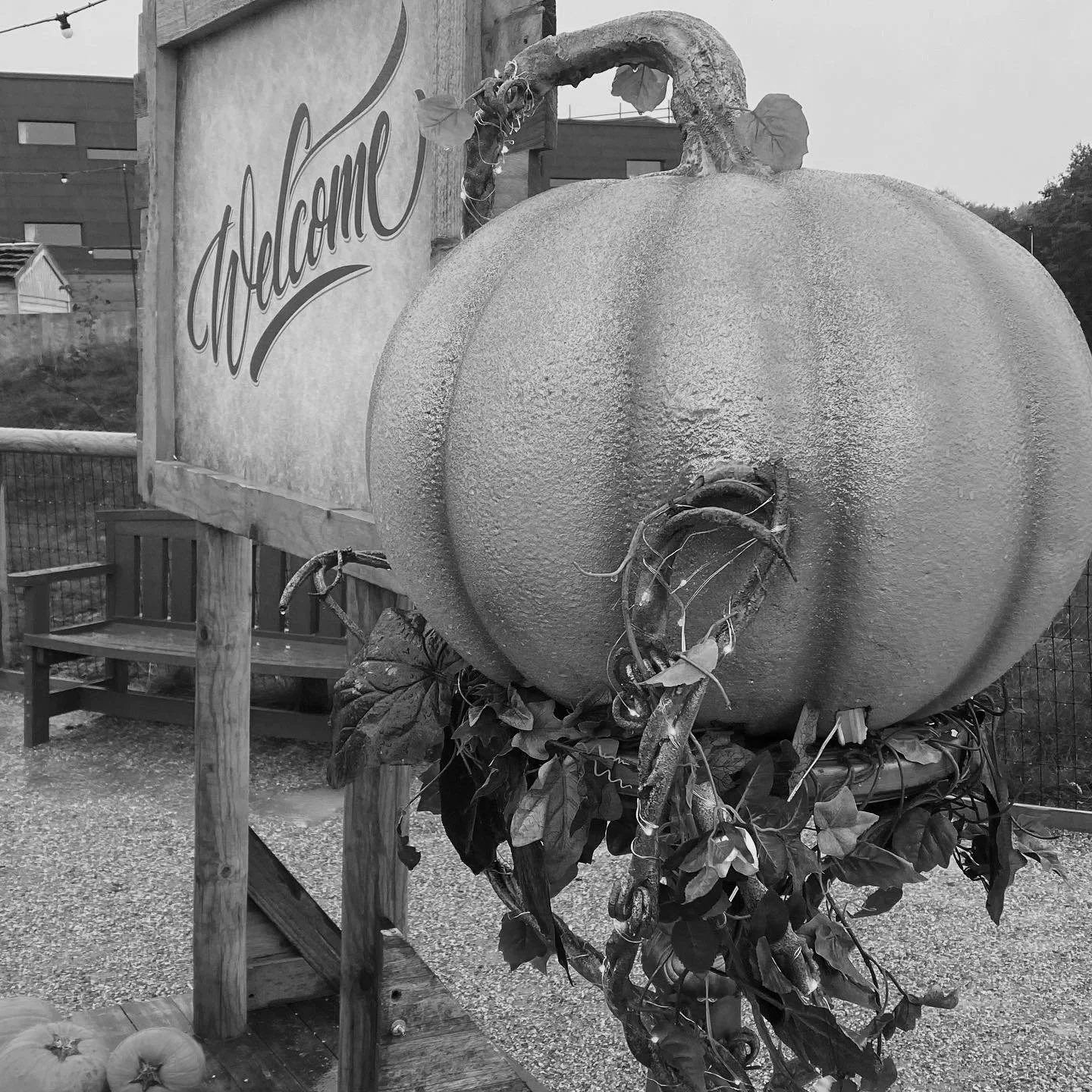 Flight in the Month of Fright