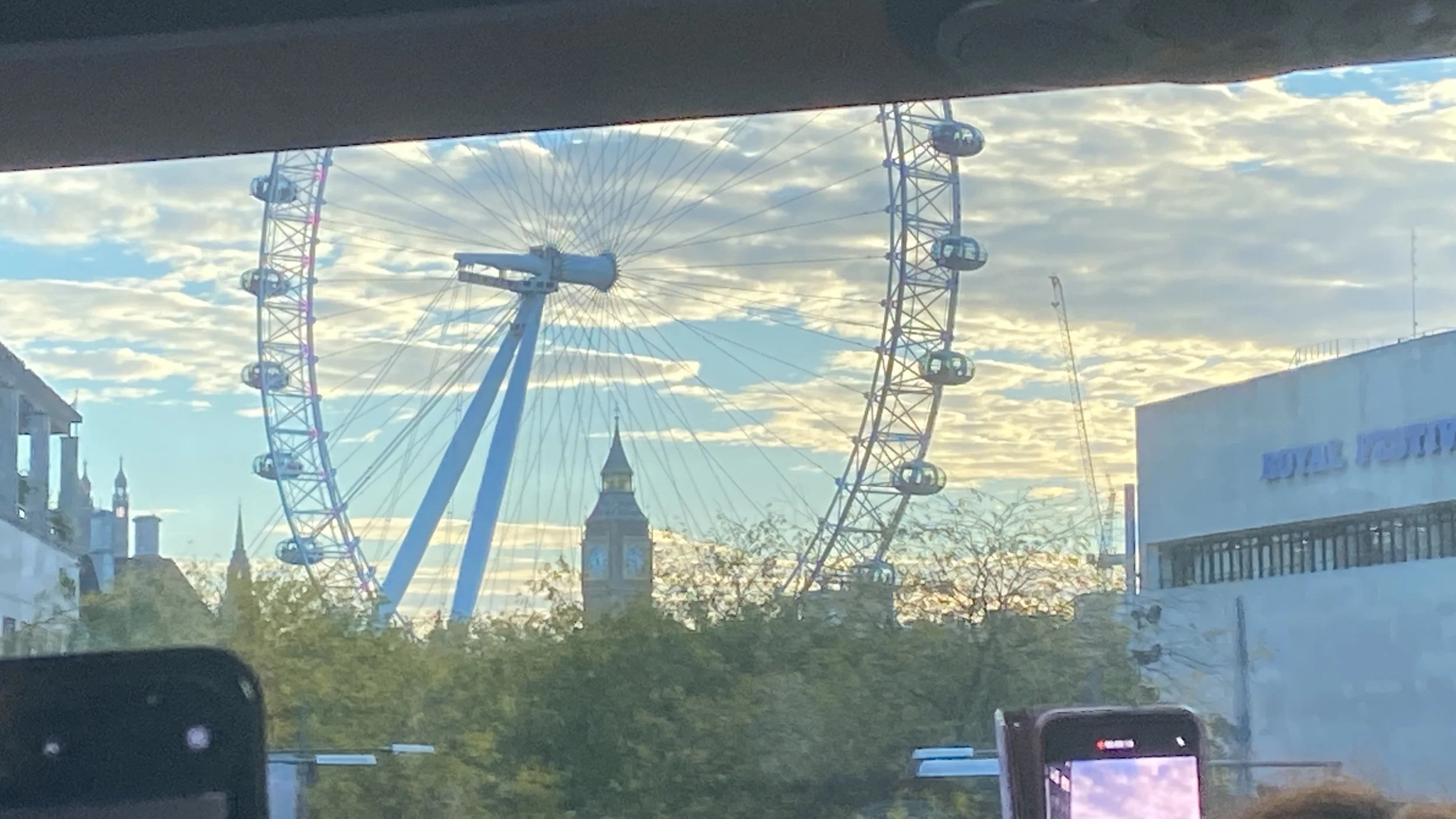 IMG_3911.jpeg