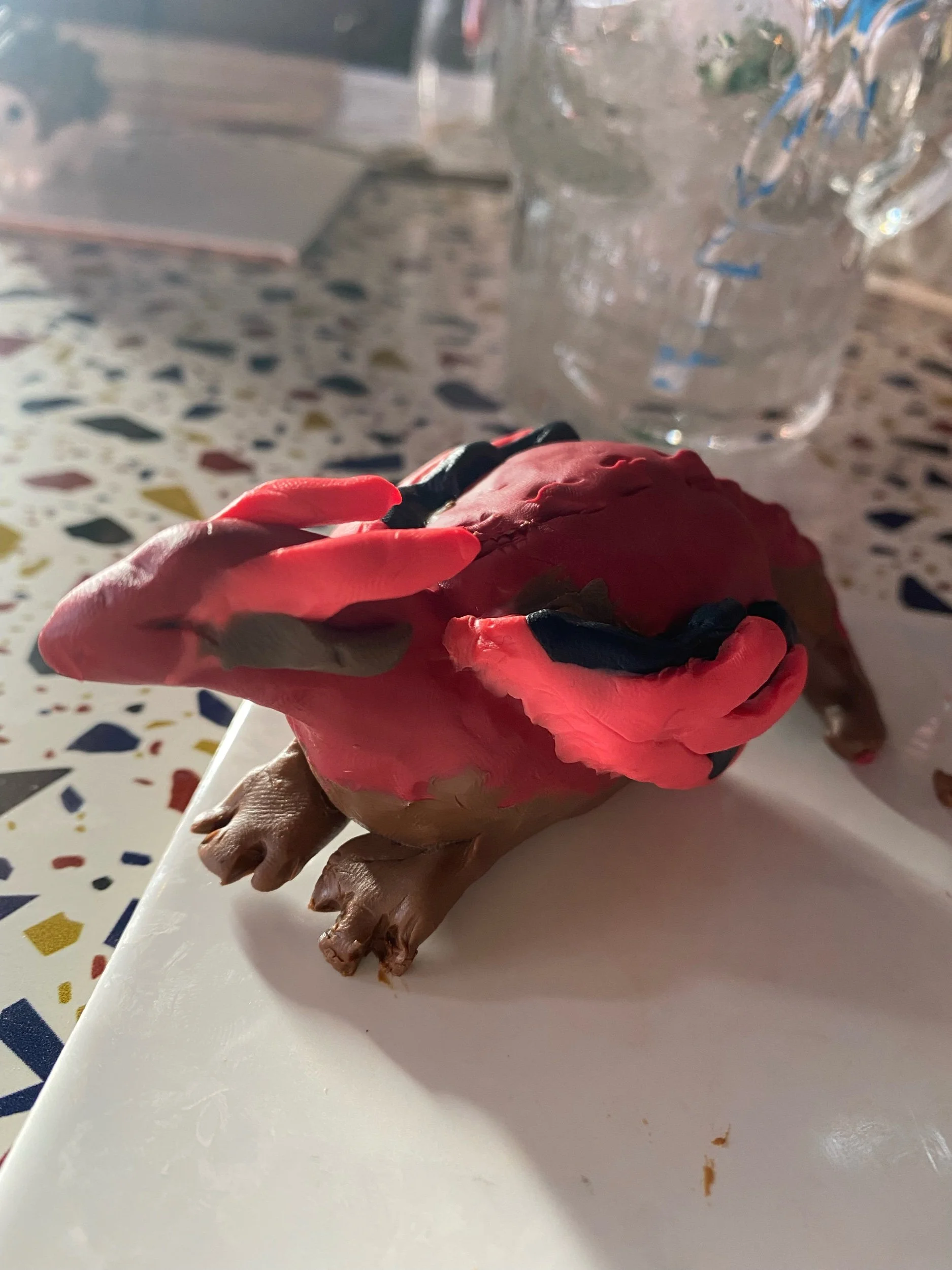 IMG_4081.jpeg