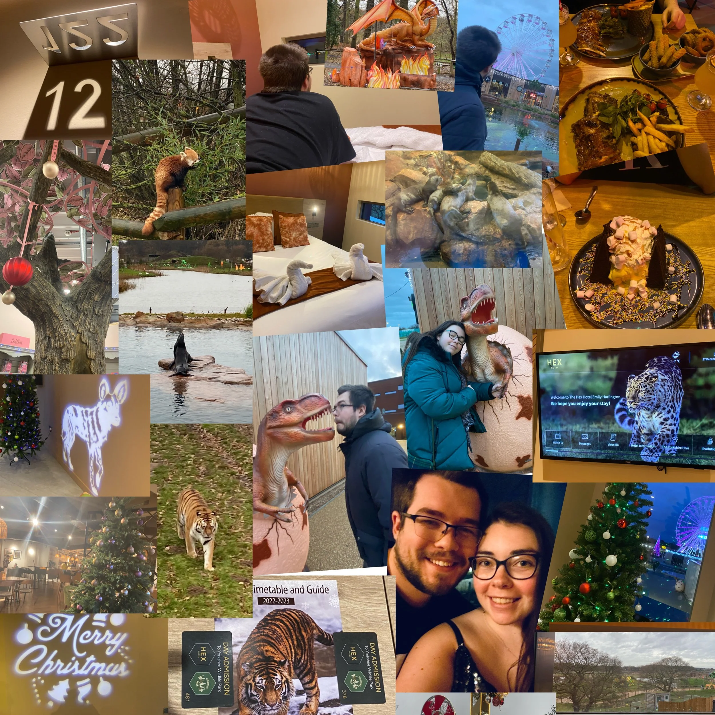 DDBE777E-86B1-42D1-9853-1034B005DF09.jpeg