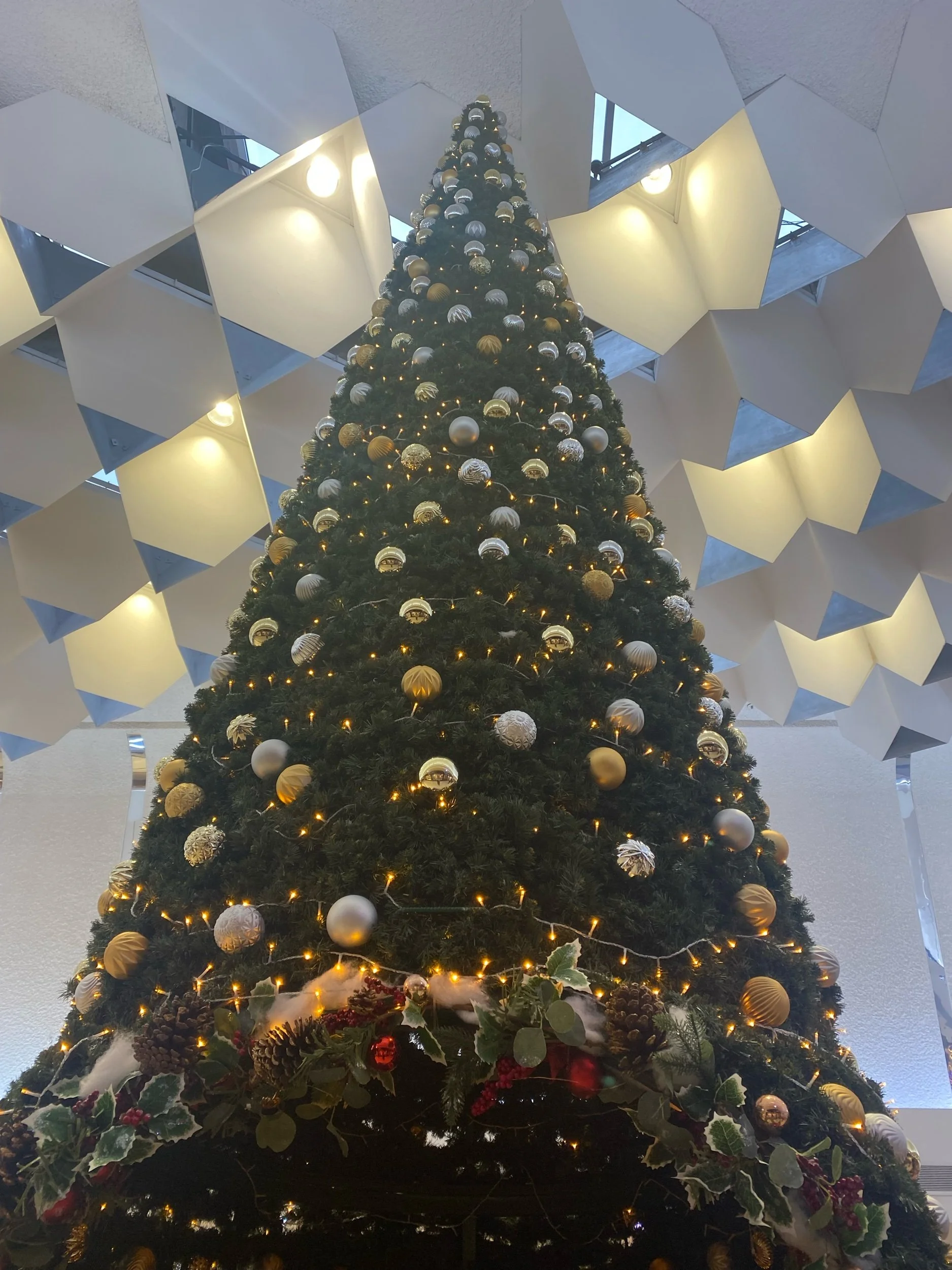 IMG_4801.jpeg