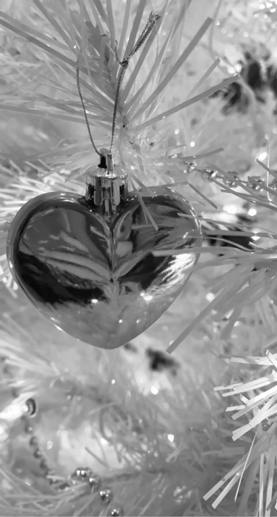 Festivities and Flight