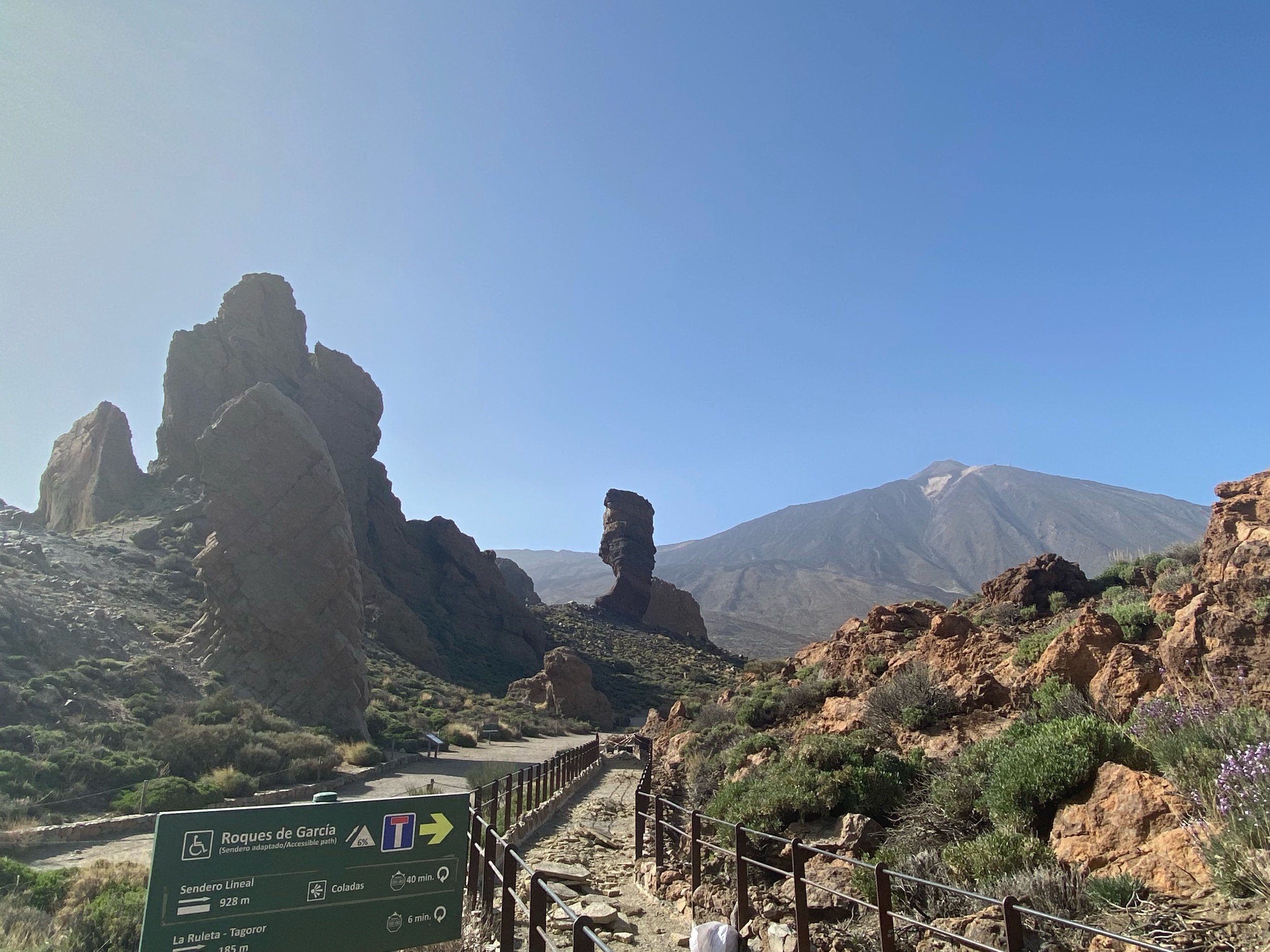 IMG_6024.jpeg