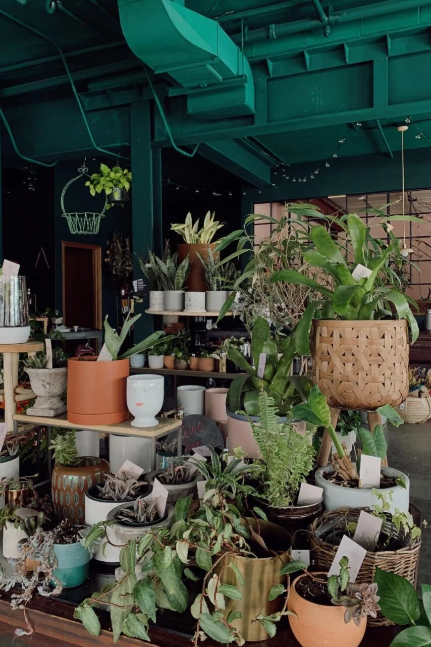 Of The Earth5600 S 59th St suite 107 Lincoln, NE 68516