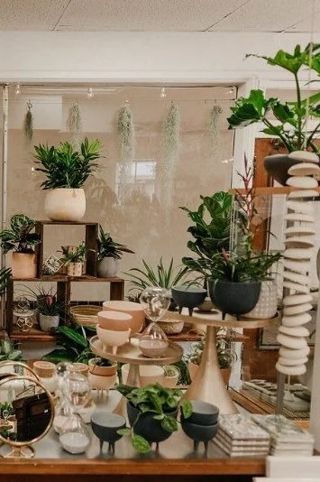 Botanic &amp; Luxe701 Front St Santa Cruz, CA 95060