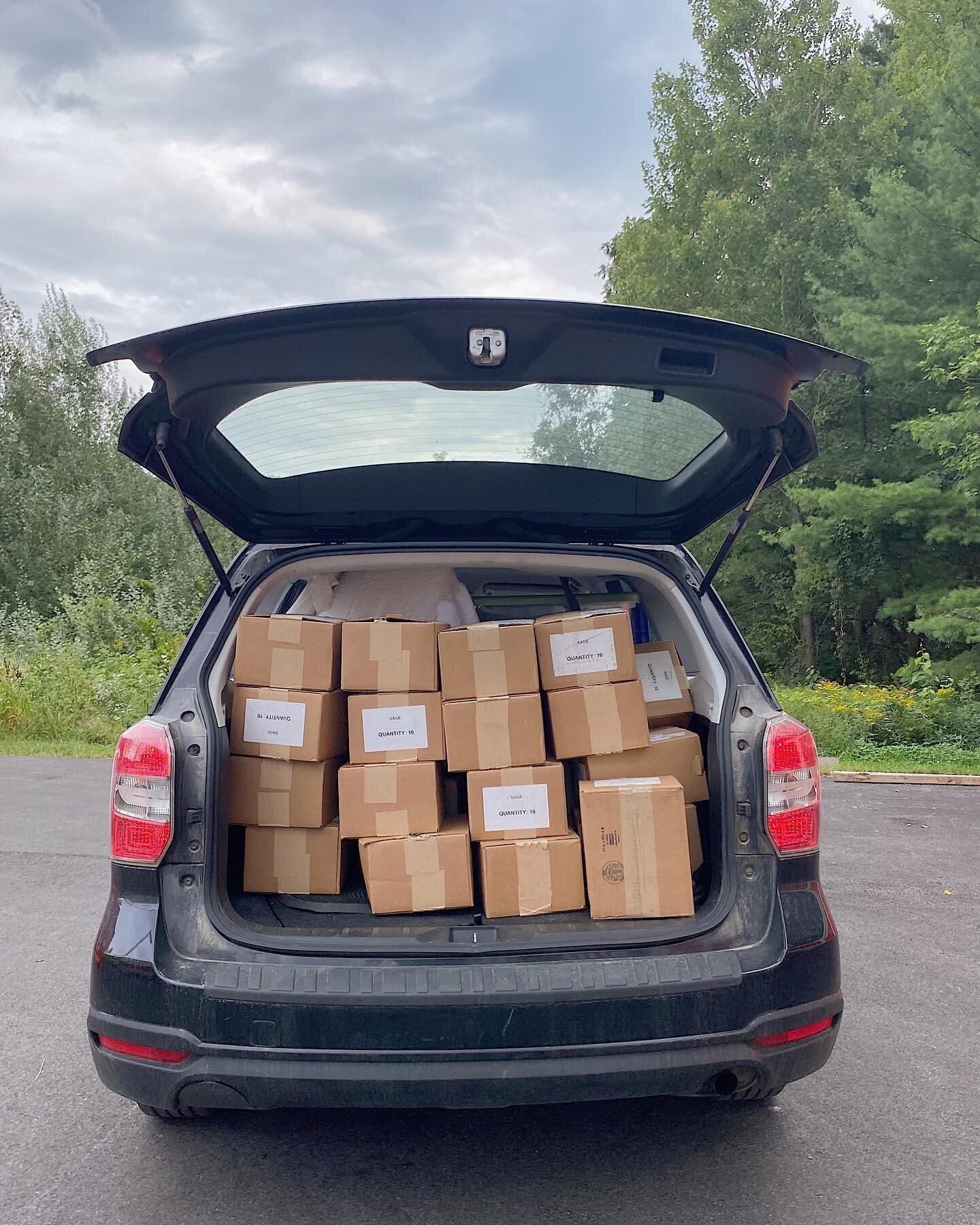 The very LAST load of issue 07!

Get a copy or two for free at sagezine.com before they&rsquo;re gone for good. Order one for your friends, family, neighbor, or coworker!

Thanks for helping us clear inventory to make room for issue 08. 📦 Happy read