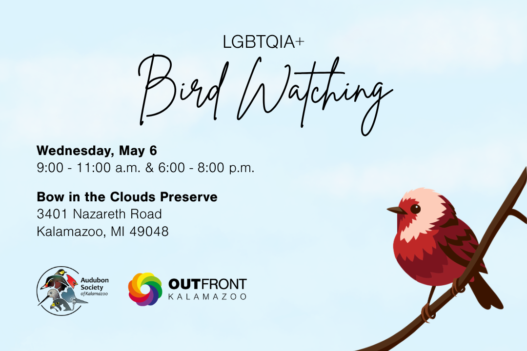 LGBTQIA+ Bird Watching (Evening Session)