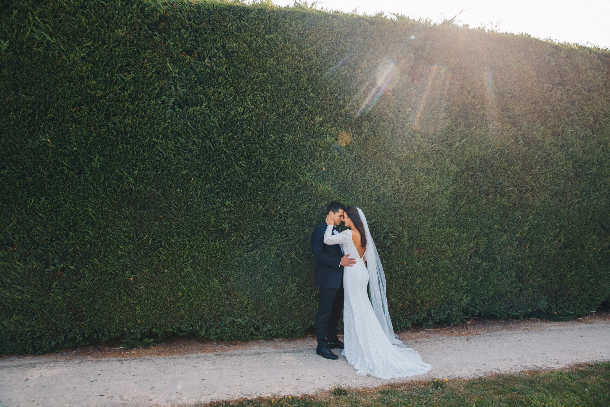 Wellington Wedding Photography