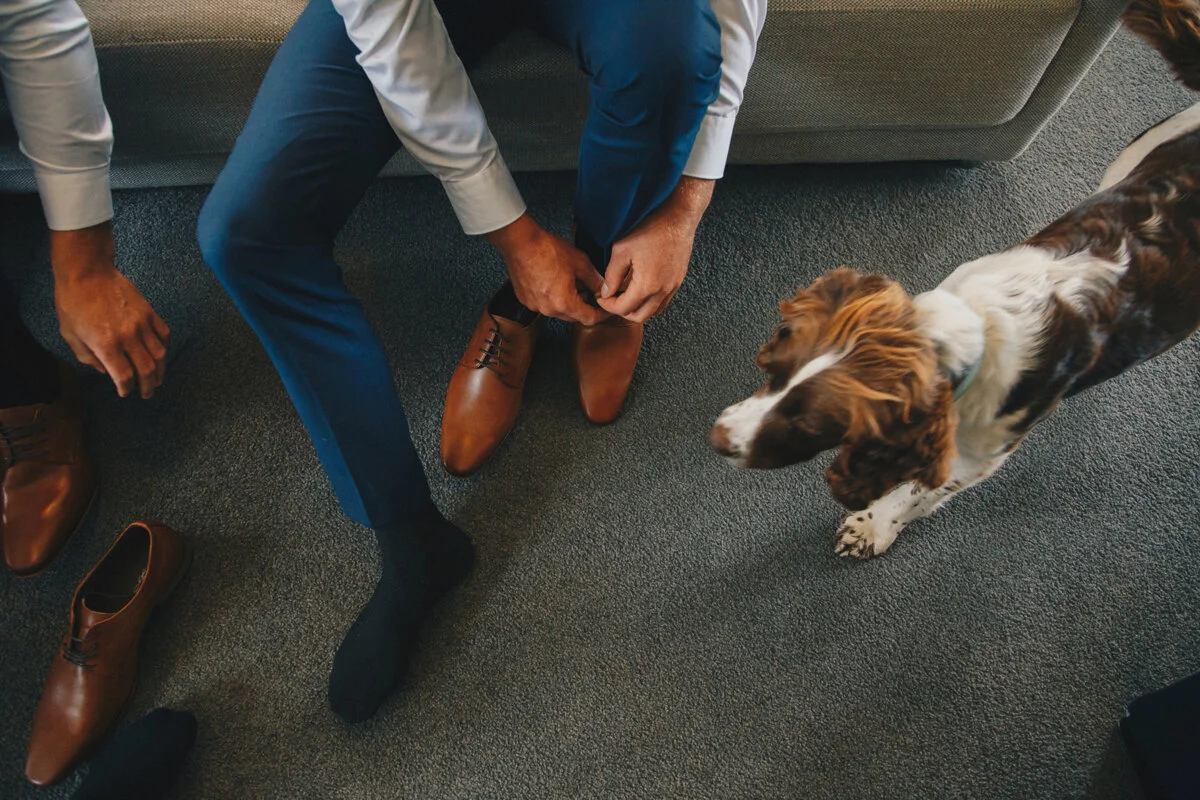 Wellington Wedding Photography FineLine