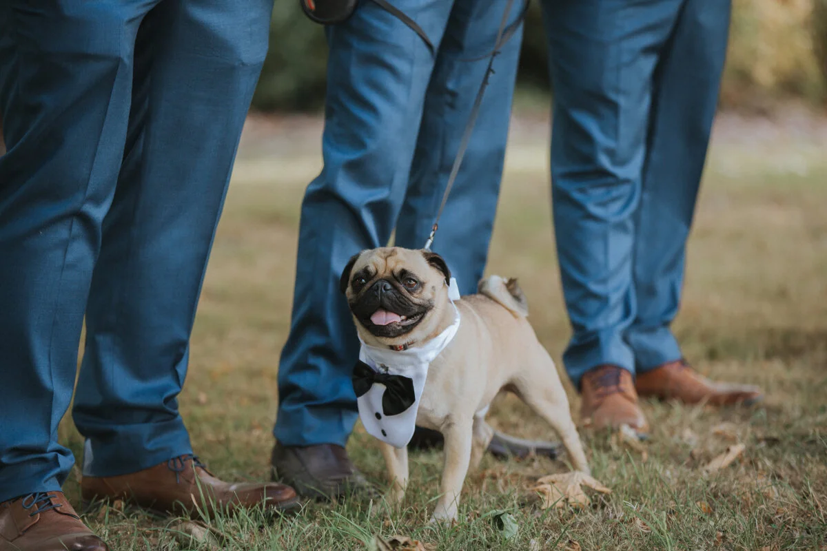 Wellington Wedding Photography FineLine