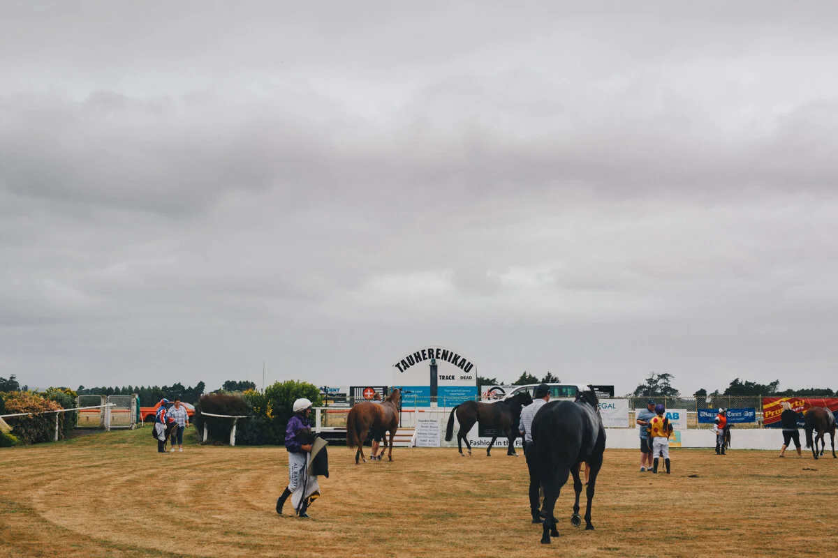 Wellington Corporate Event Photography
