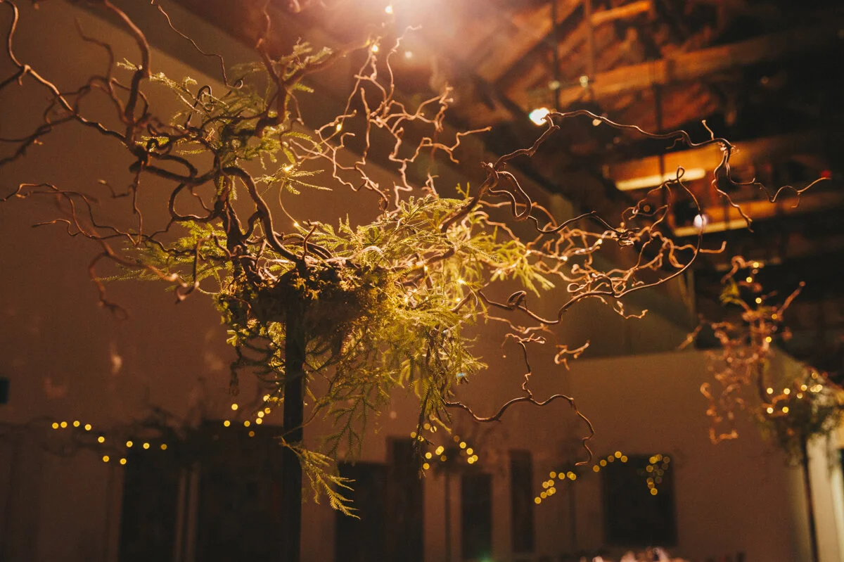 Wellington Commercial Interiors Photography 