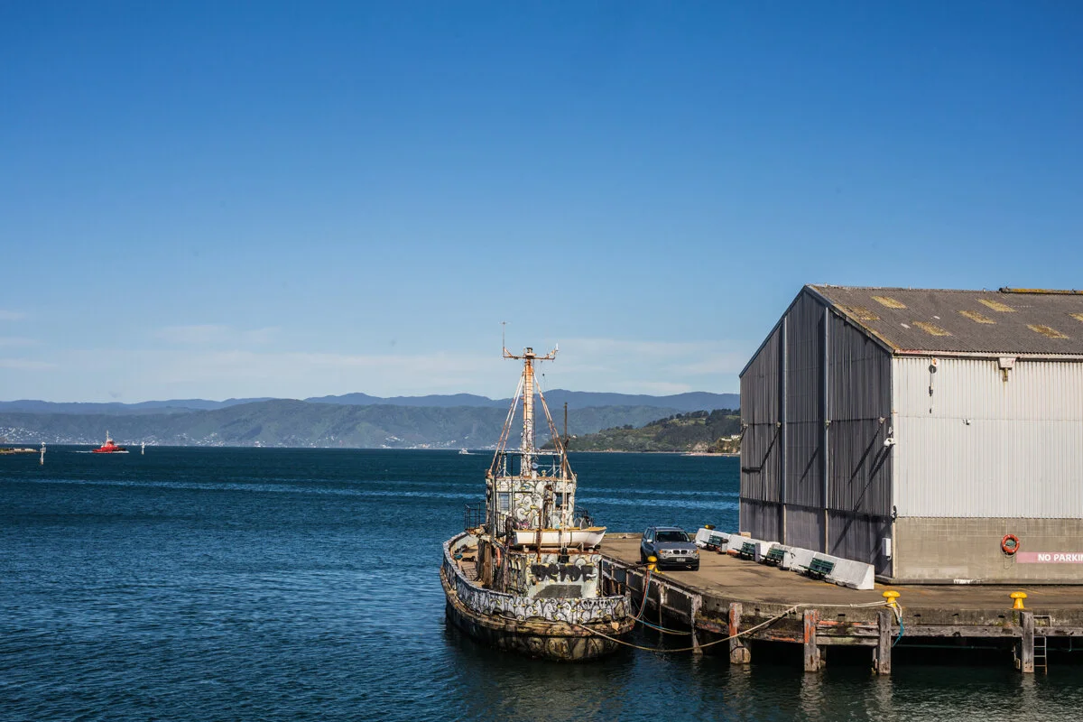 Wellington Corporate Event Photography