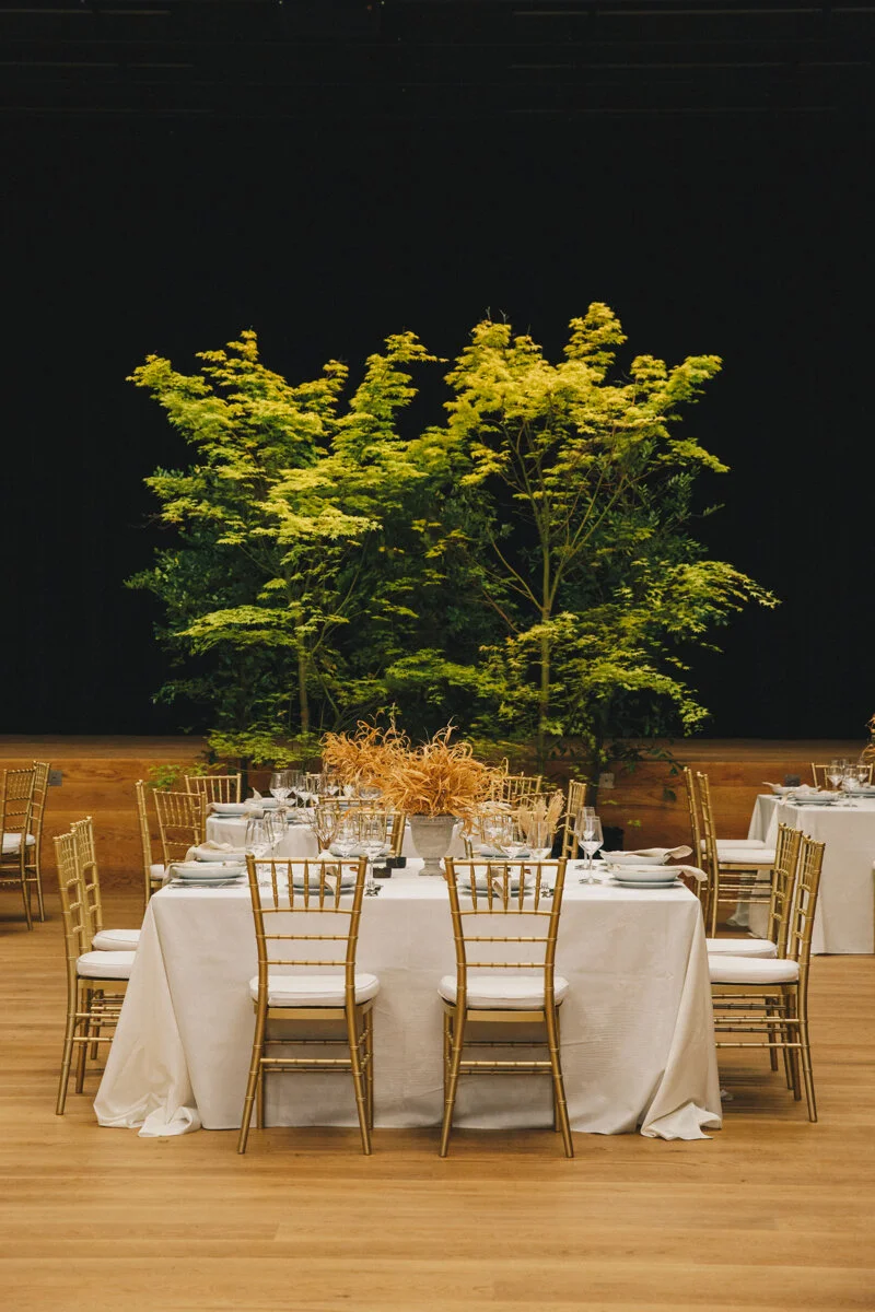 Wellington Commercial Interiors Photography 