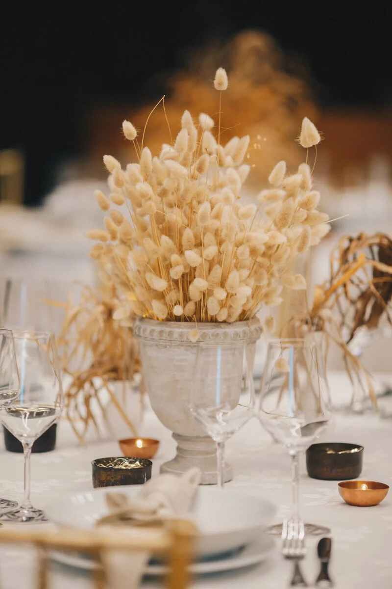 Wellington Commercial Interiors Photography 