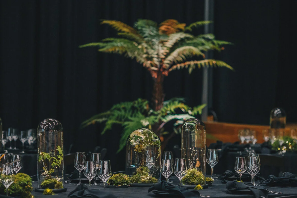 Wellington Commercial Interiors Photography 