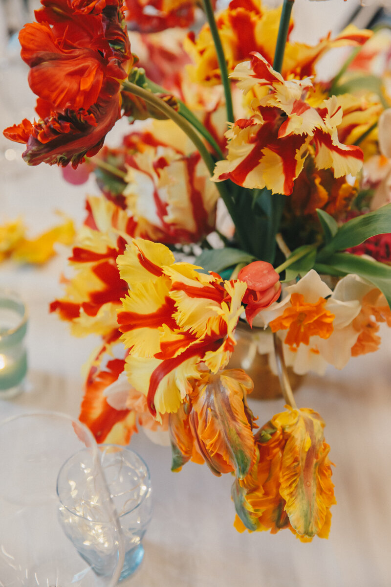 Wellington Commercial Interiors Photography 