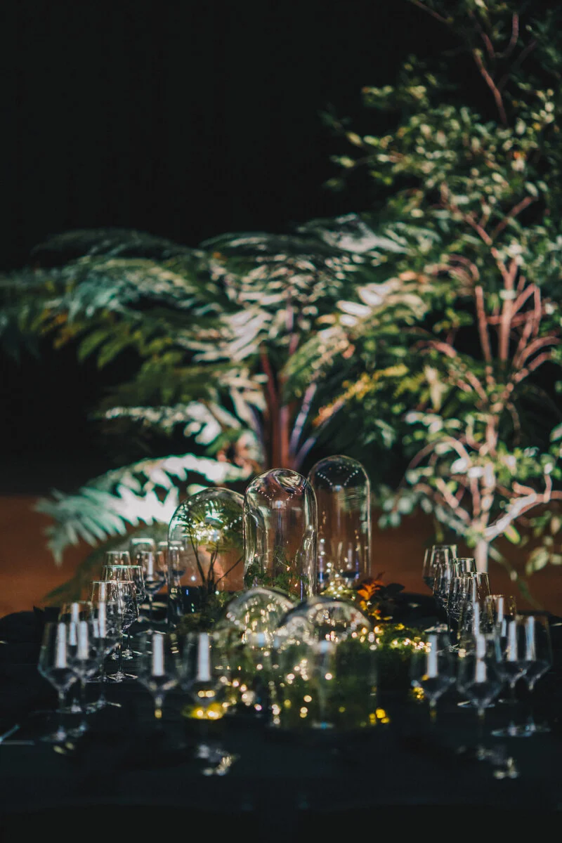 Wellington Commercial Interiors Photography 