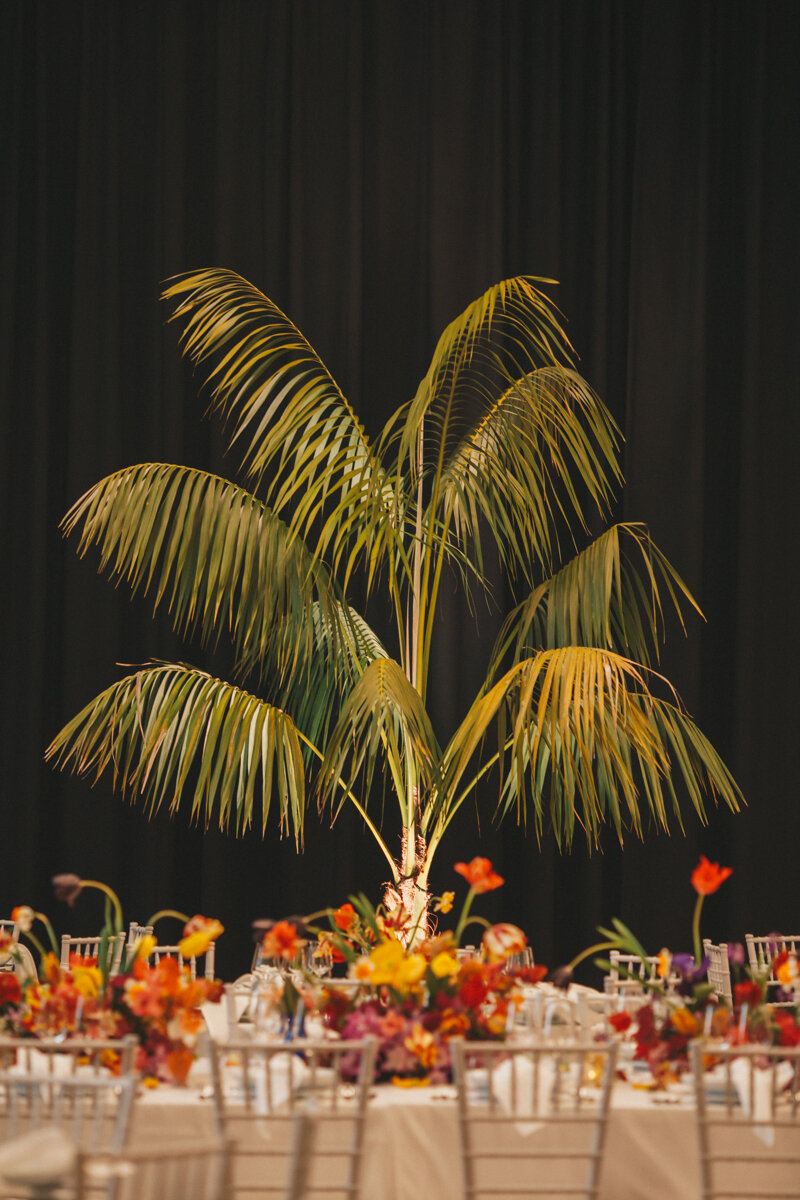 Wellington Commercial Interiors Photography 