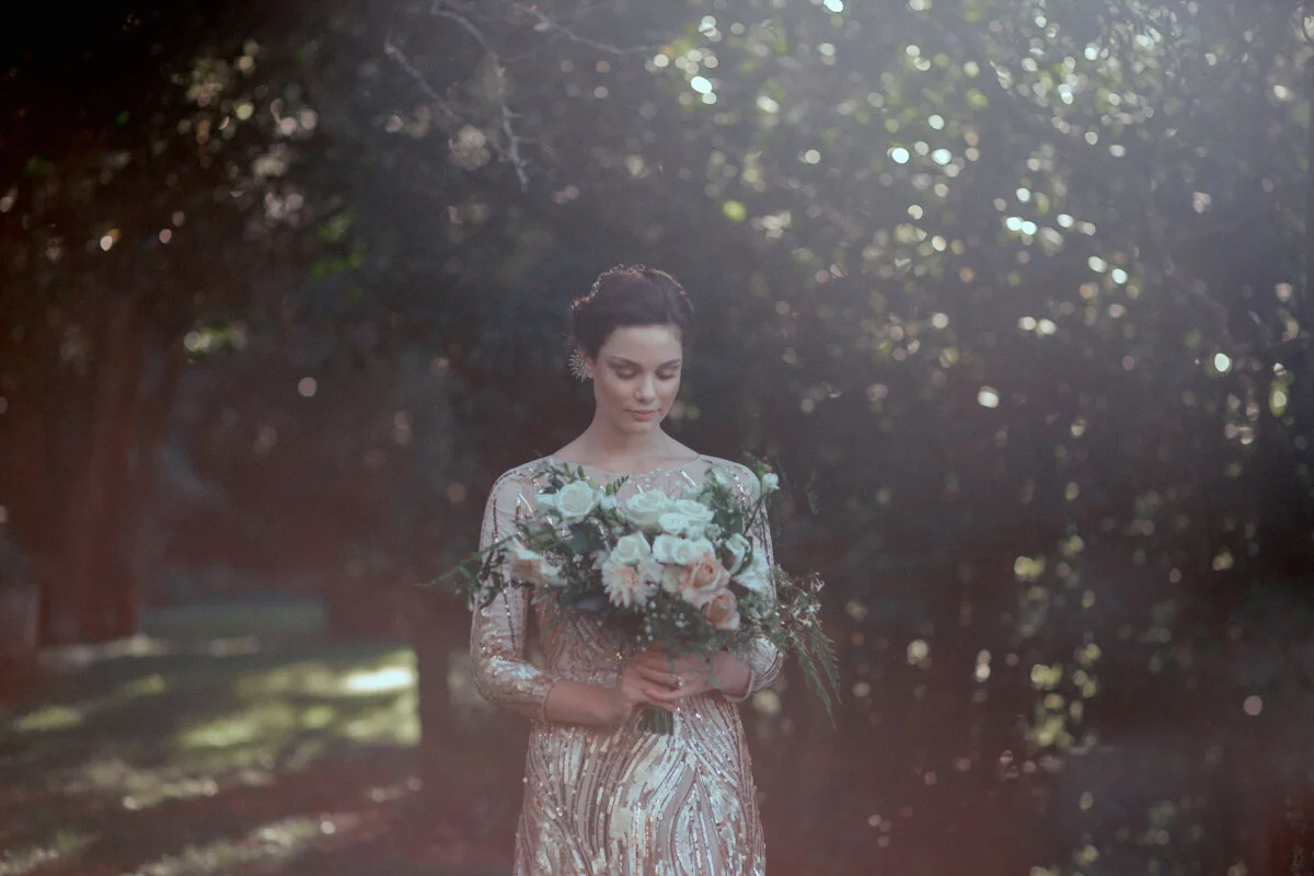 Wellington Fashion Photography 