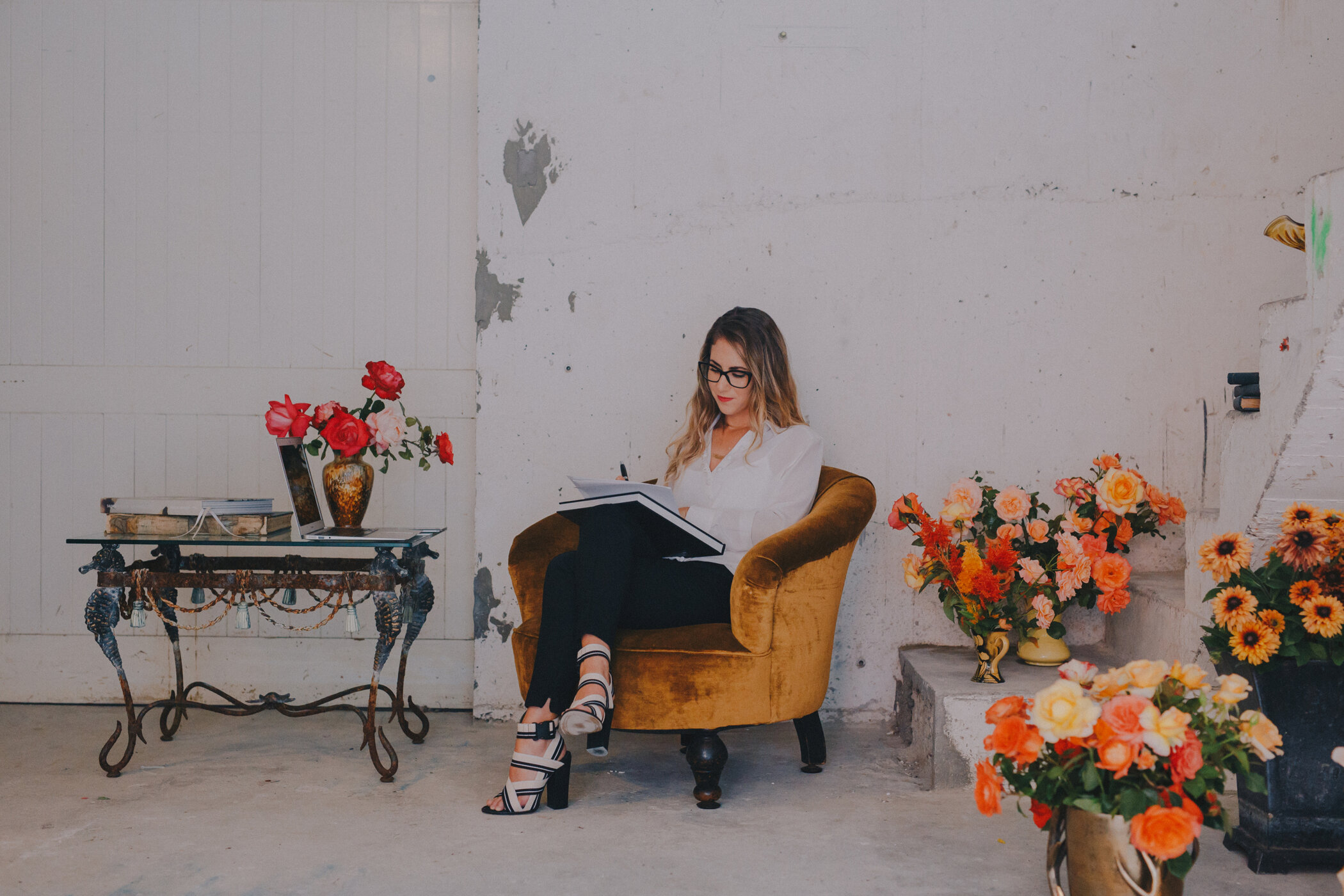 Wellington Commercial Portrait Photography 