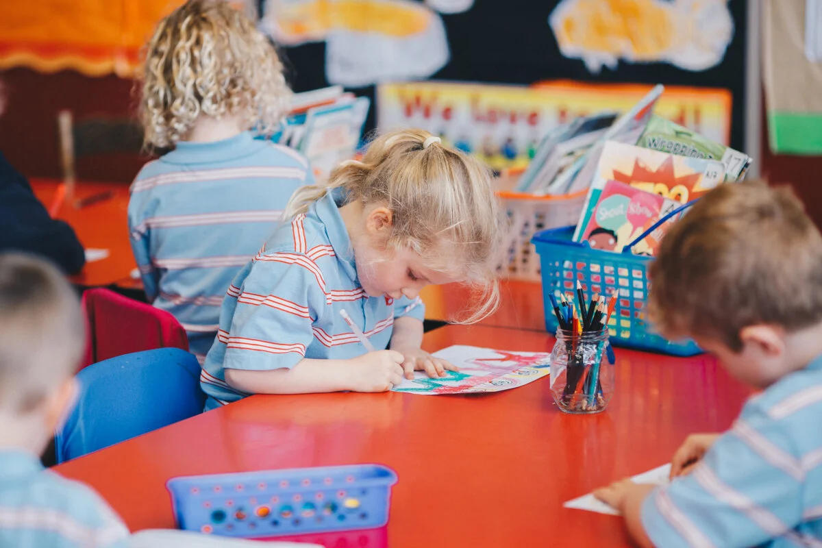 Wellington Commercial Portrait Photography 