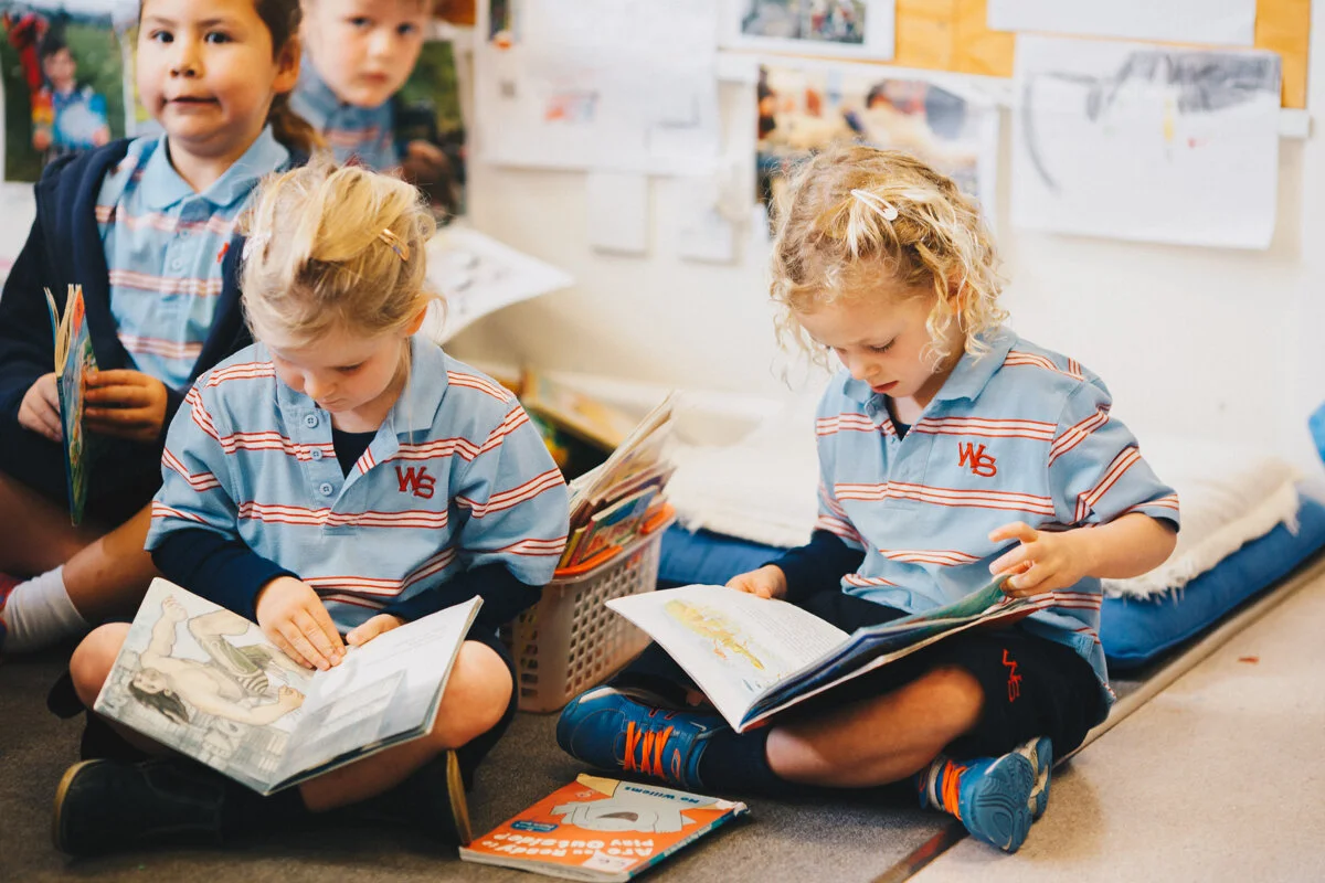 Wellington Commercial Portrait Photography 
