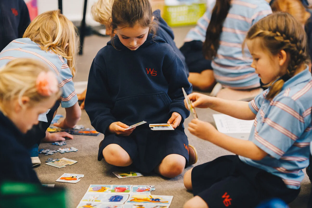 Wellington Commercial Portrait Photography 