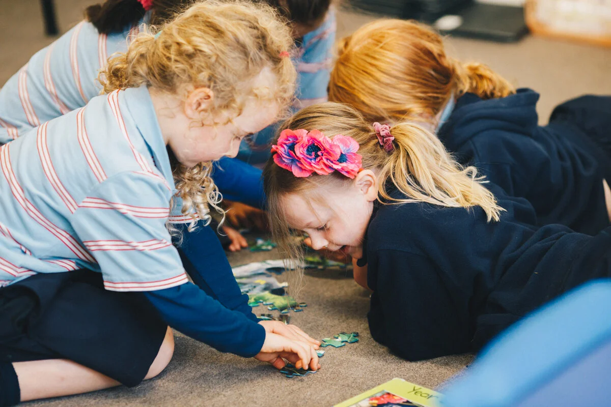 Wellington Commercial Portrait Photography 