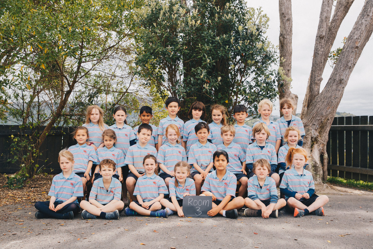 Wellington Commercial Portrait Photography 