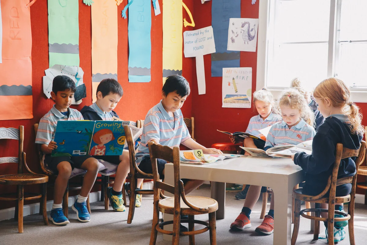 Wellington Commercial Portrait Photography 