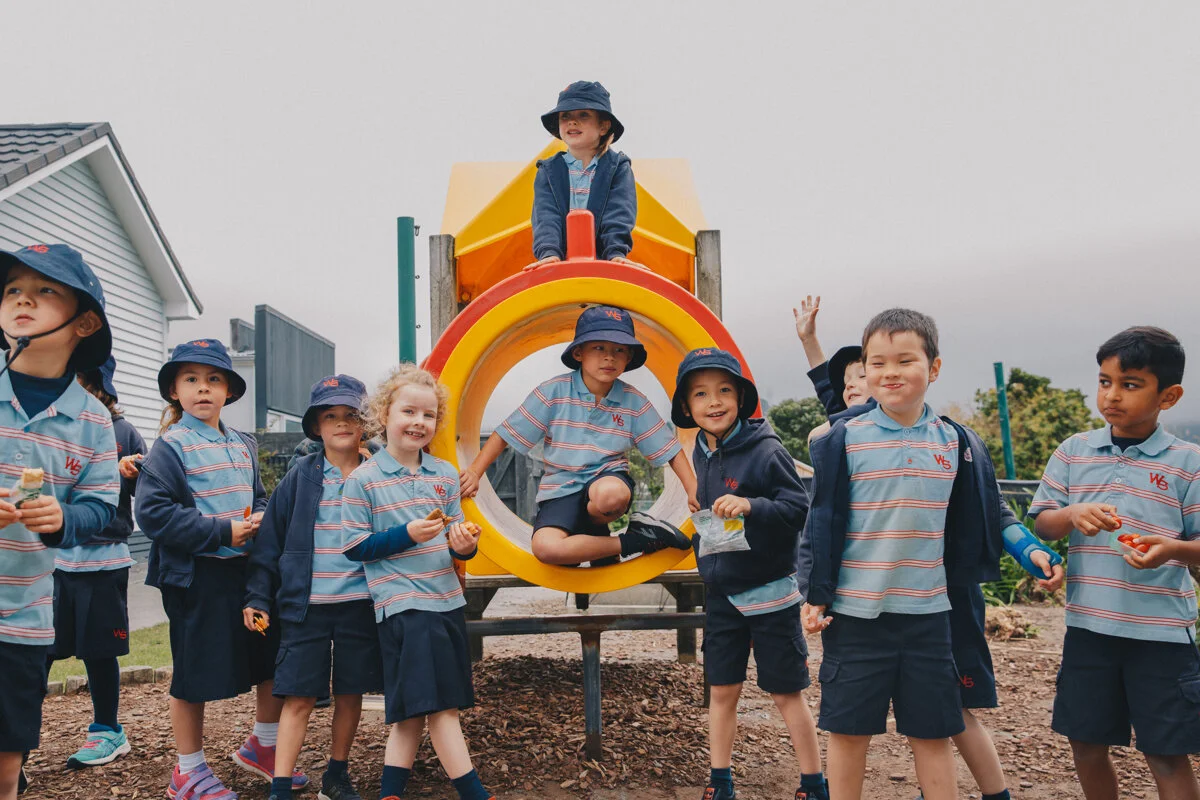 Wellington Commercial Portrait Photography 