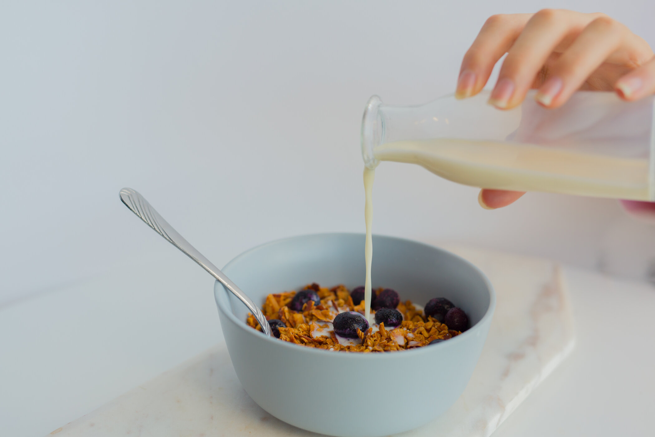 Wellington Food Photography 