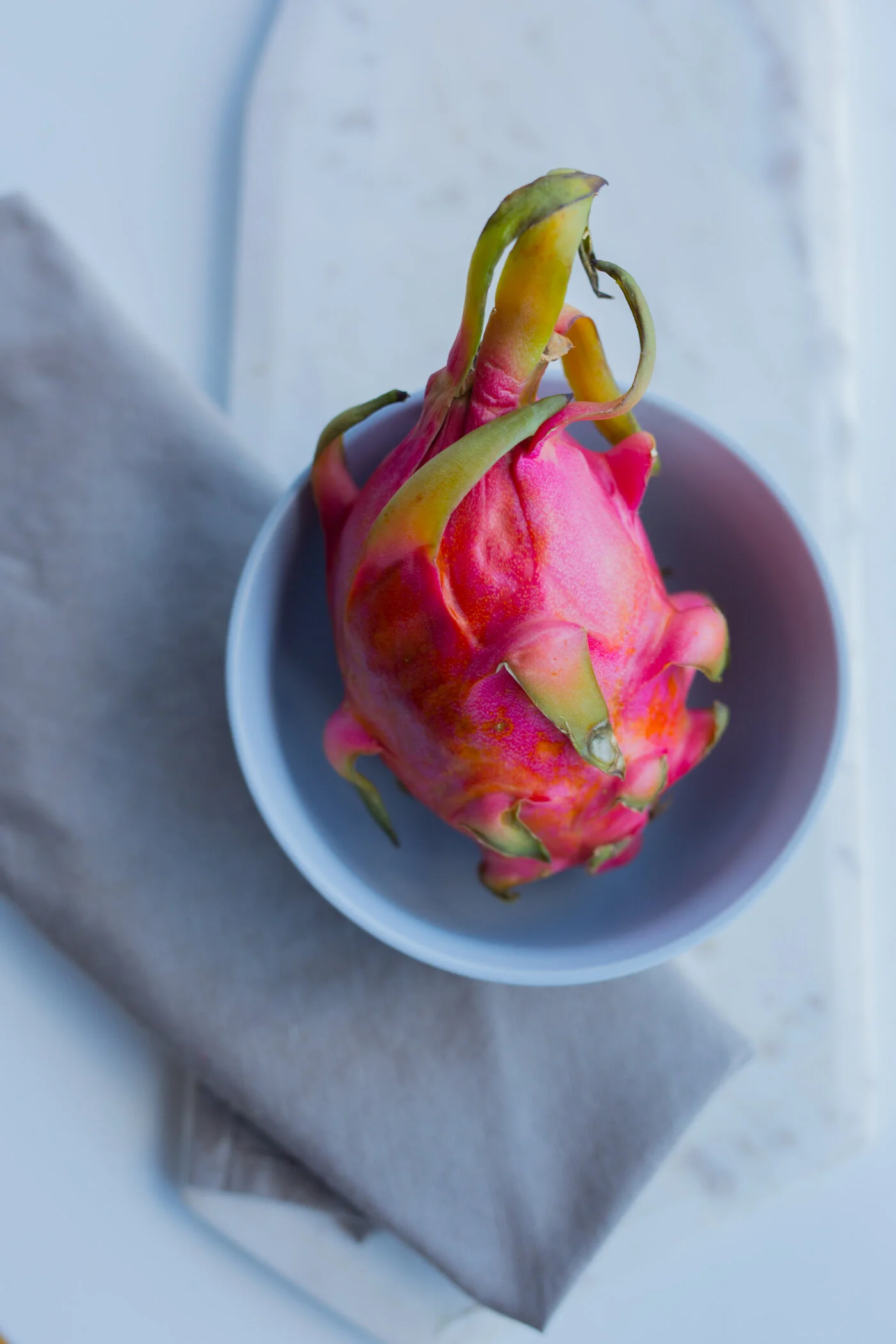 Wellington Food Photography 