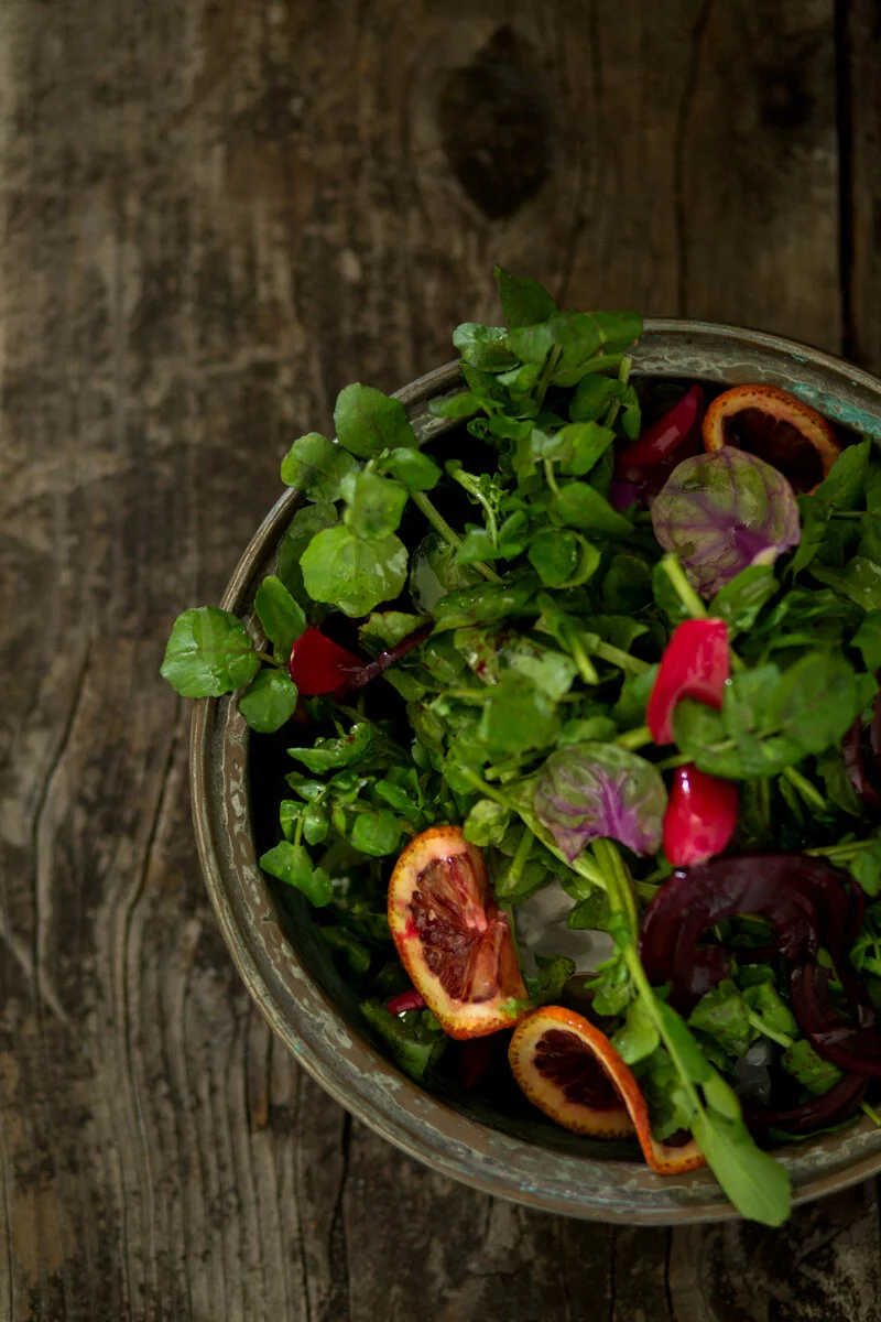 Wellington Food Photography 