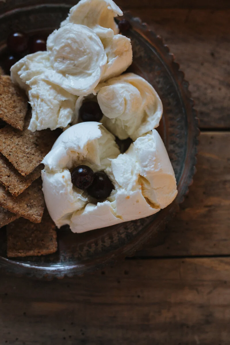 Wellington Food Photography 