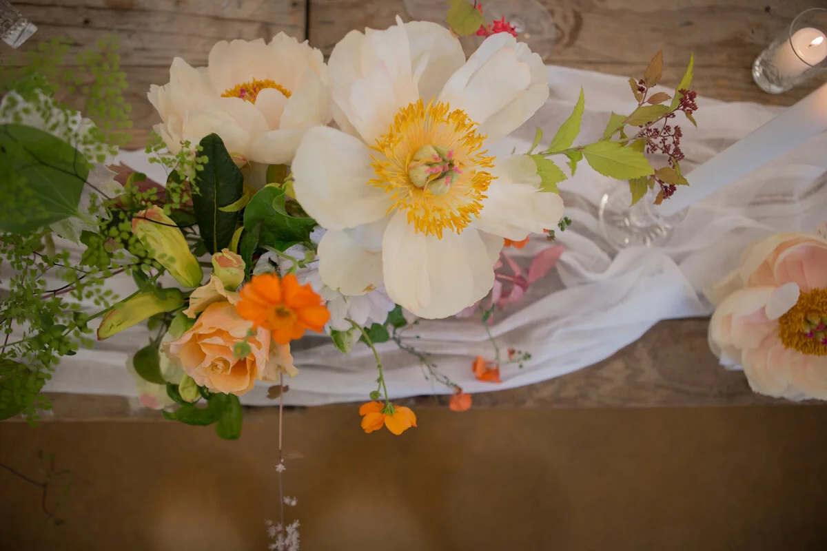 Wellington Food Photography 