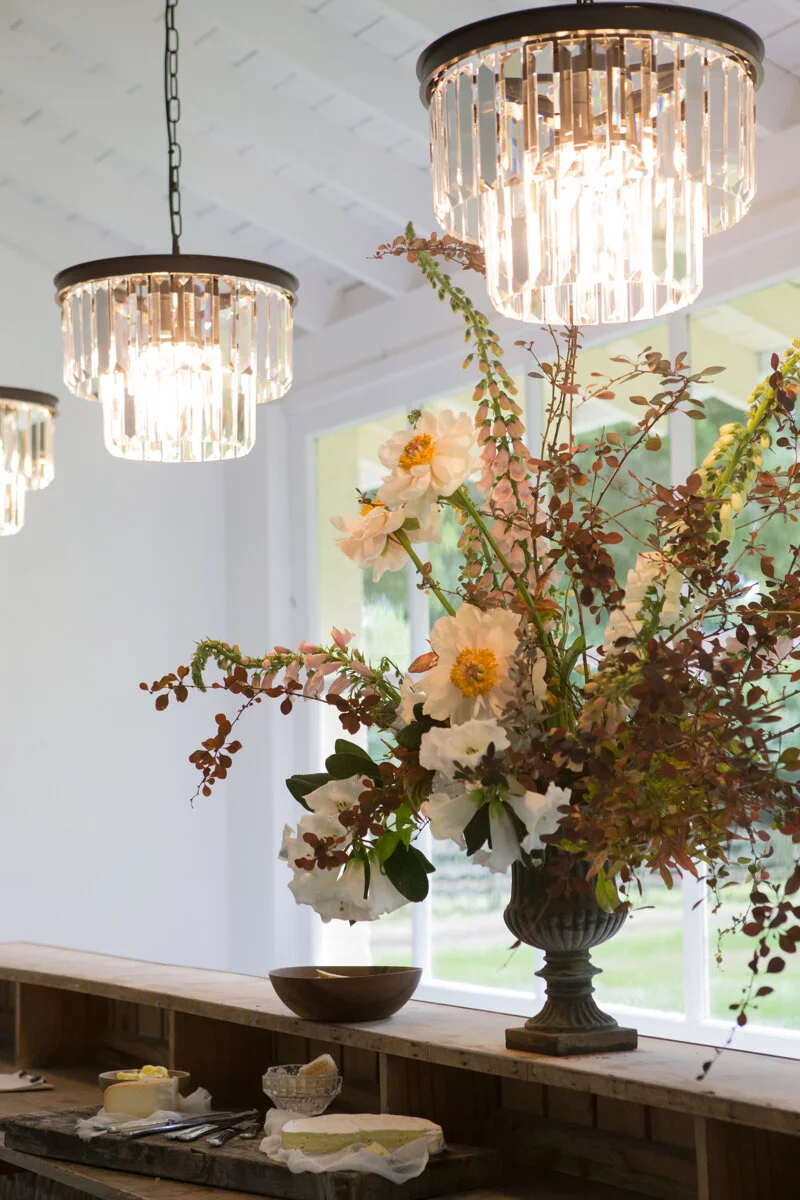 Wellington Food Photography 