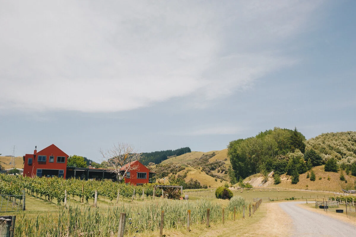 Weddings at Te Awa Winery Napier
