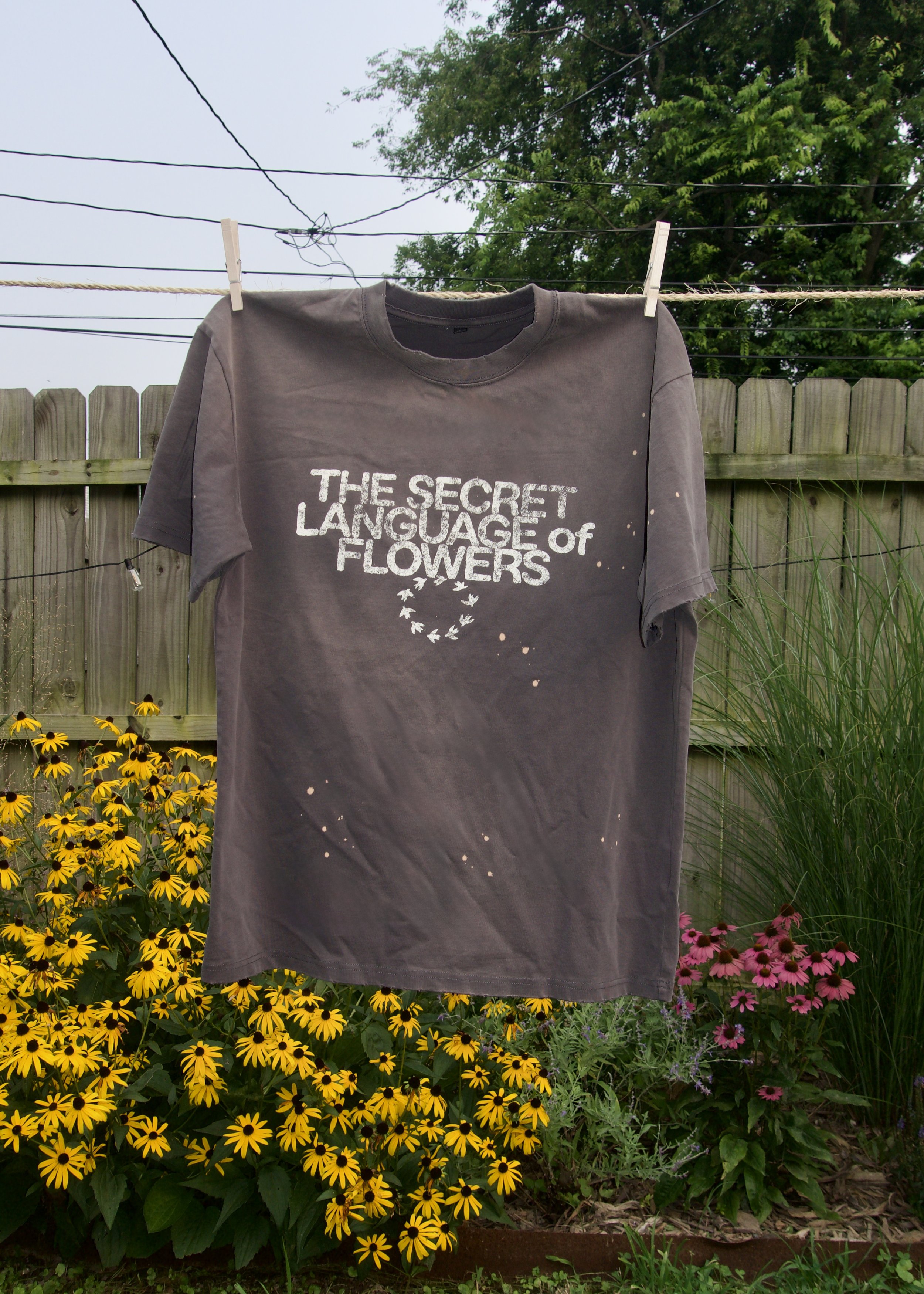 _DSC0439.jpeg