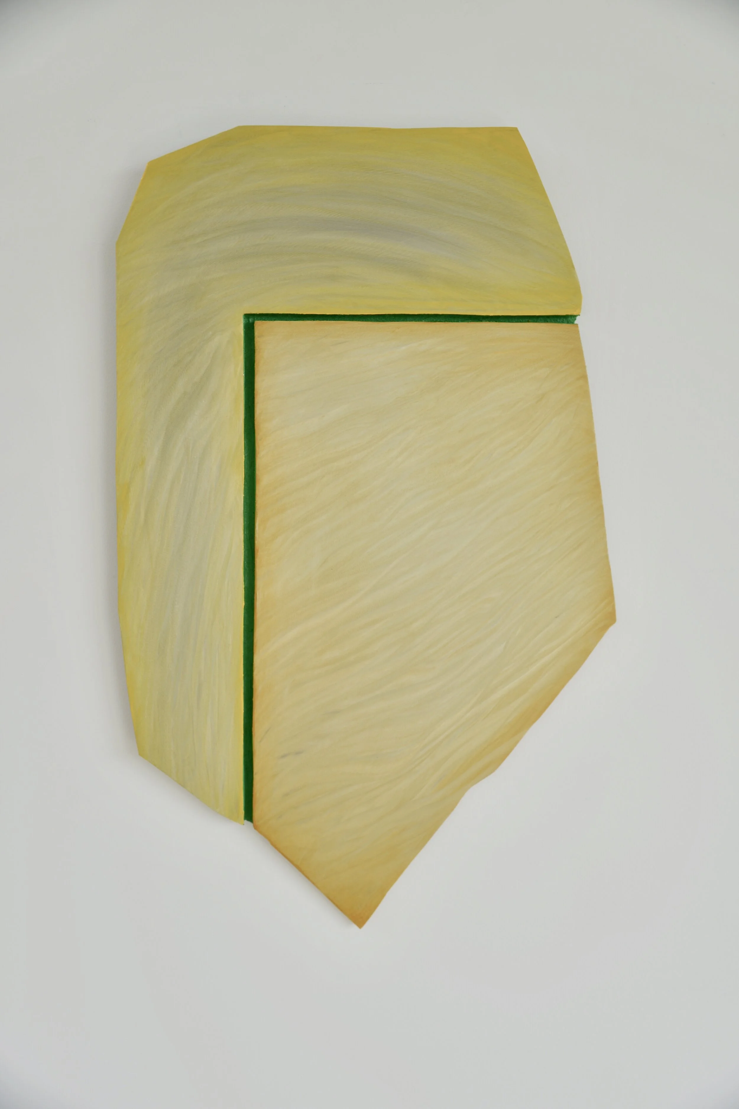 Study for the Light, Field