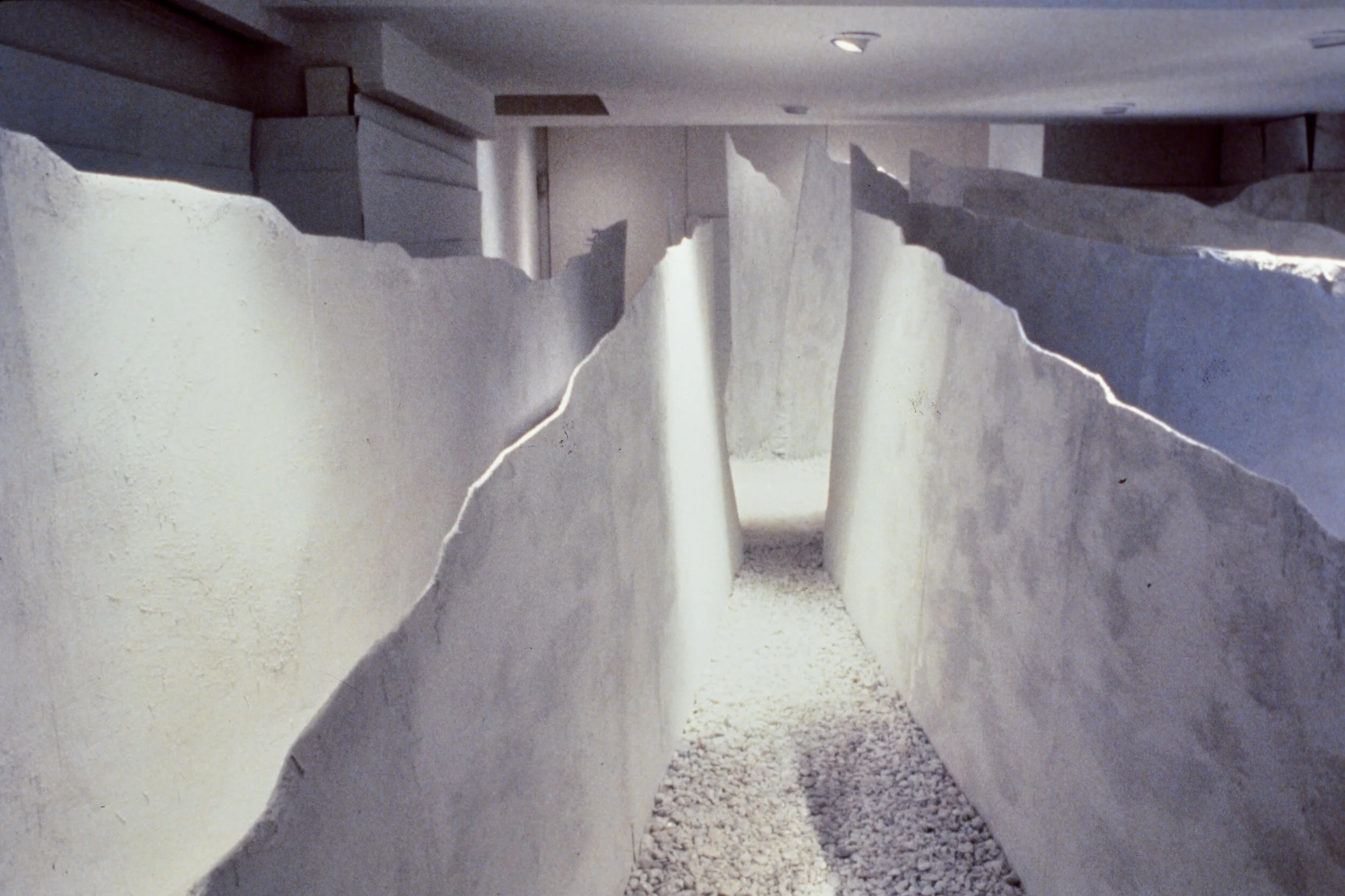 DSC_7441.JPEG