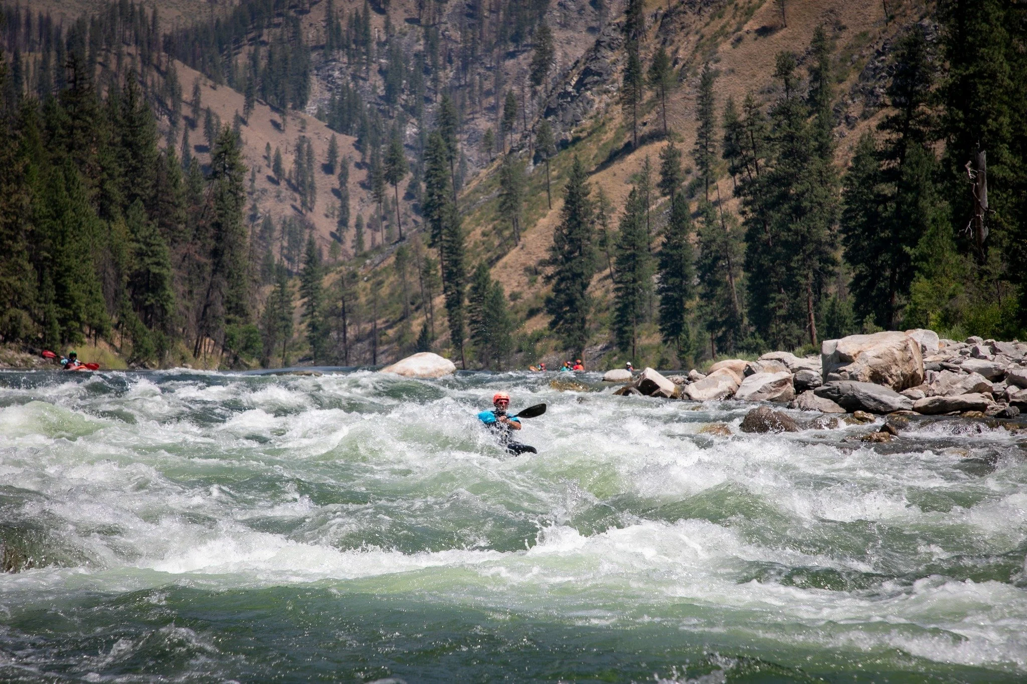 Main Salmon Expedition