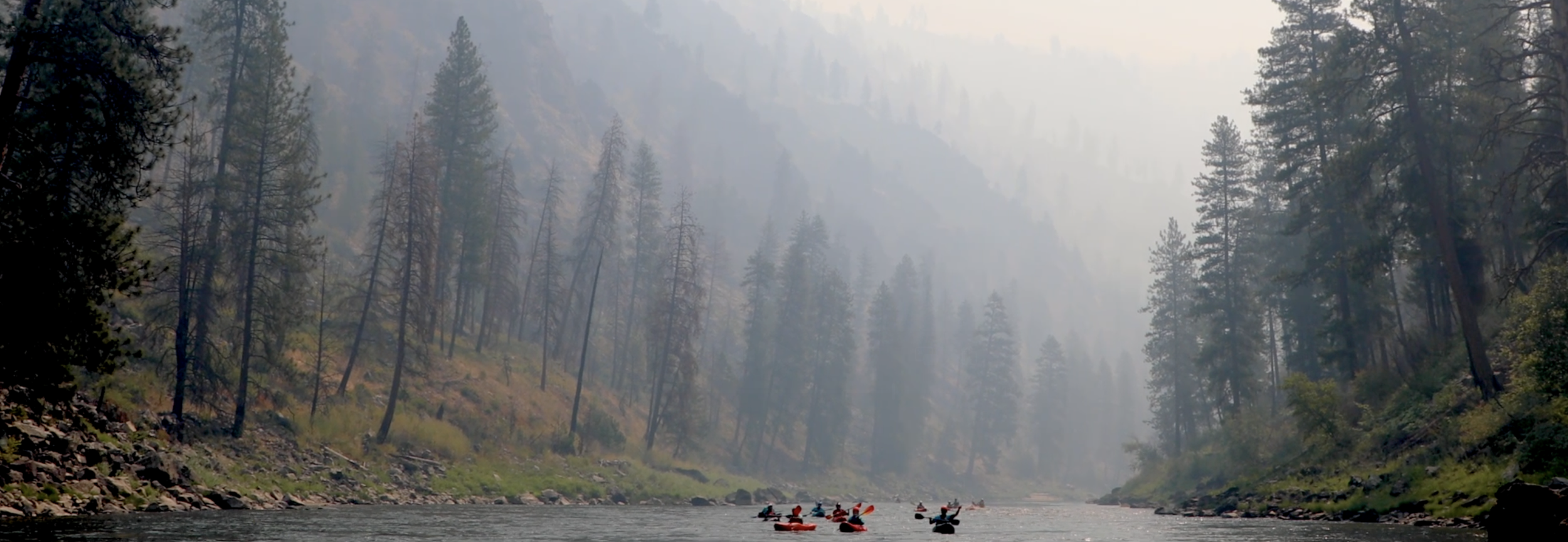 Screenshot 2026-03-28 at 9.31.39 AM.png