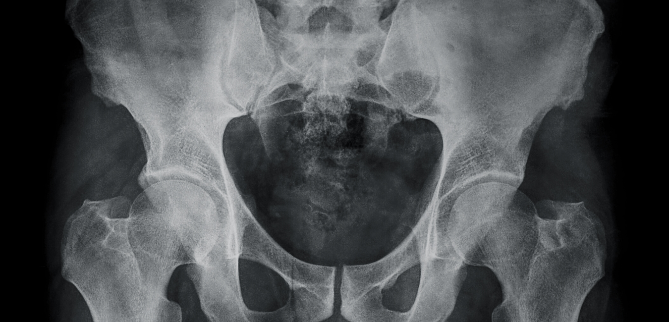 Pelvic Wellness & Physical Therapy
