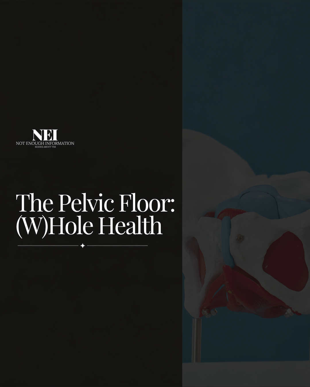 Episode 1: Pelvic Floor: (W)Hole Health