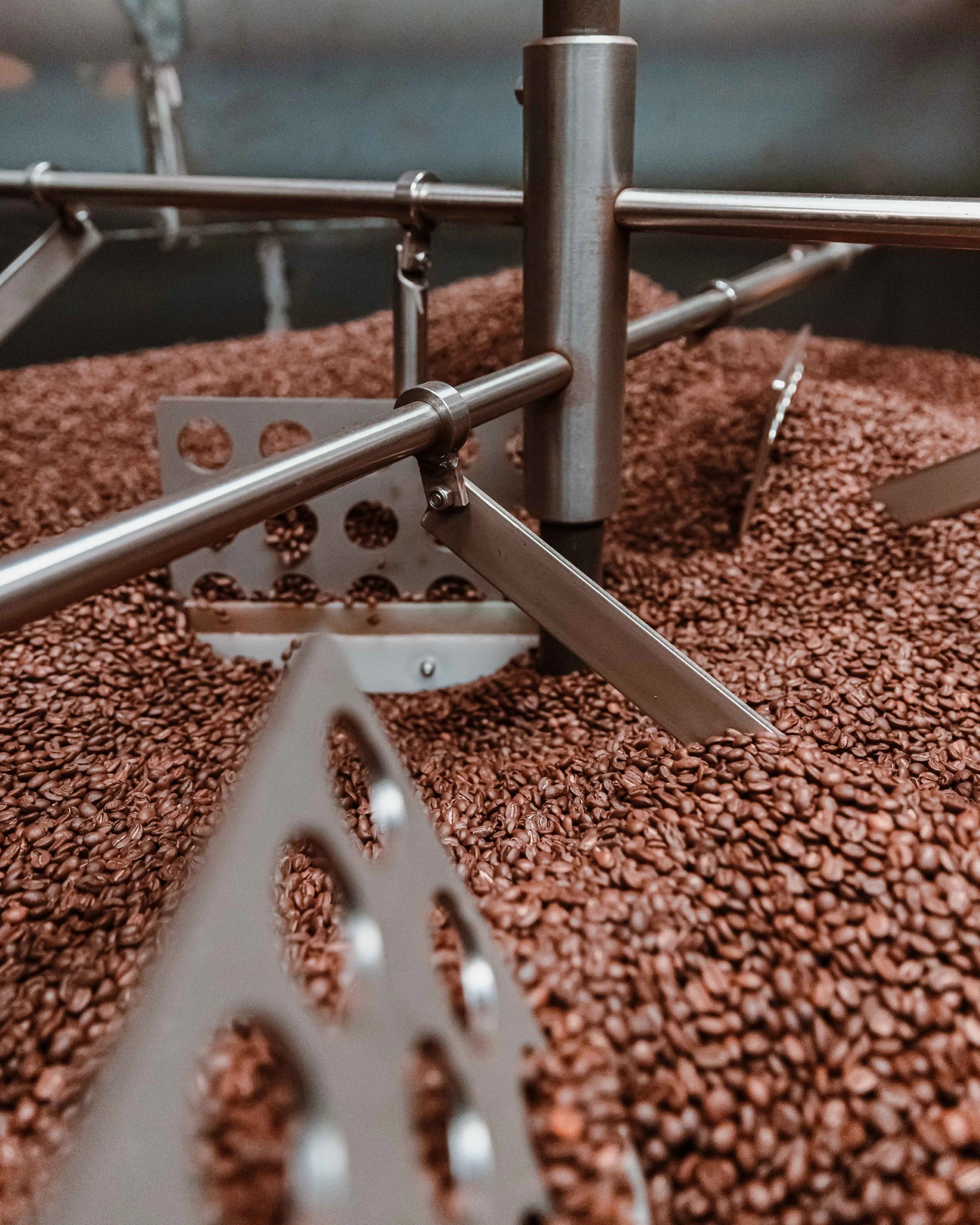 Maloney Street Coffee Roasters